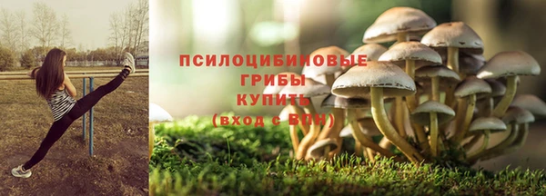 первитин Алексин
