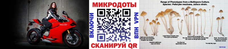 Галлюциногенные грибы Psilocybe  omg вход  Ухта 